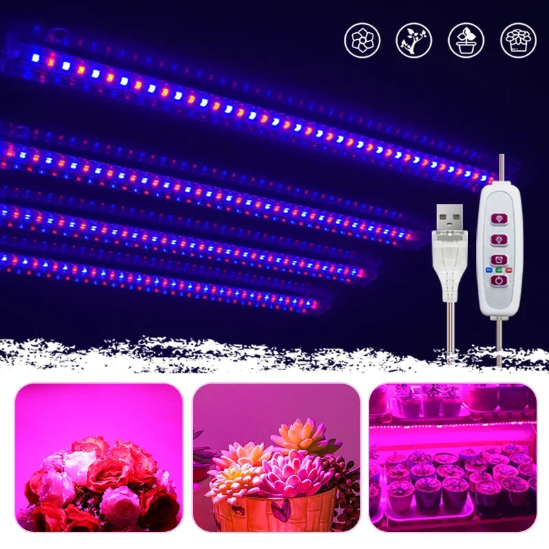 lampe led croissance plante intérieure blanche rose bleu moderne 30cm usb