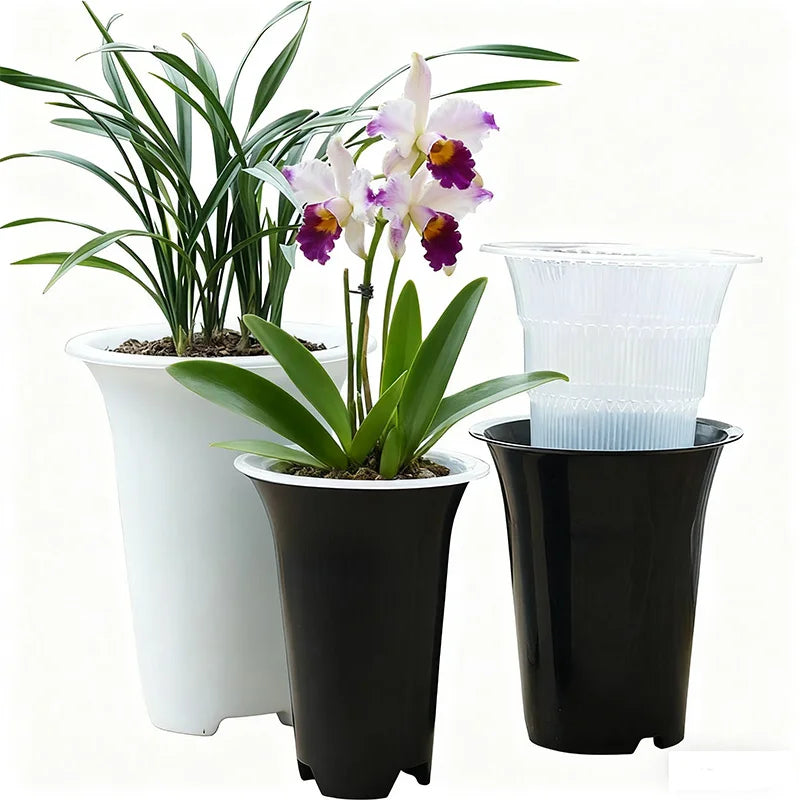 cache pot moderne cattleya phalaenopsis blanc noir air pruning racines controle drainage
