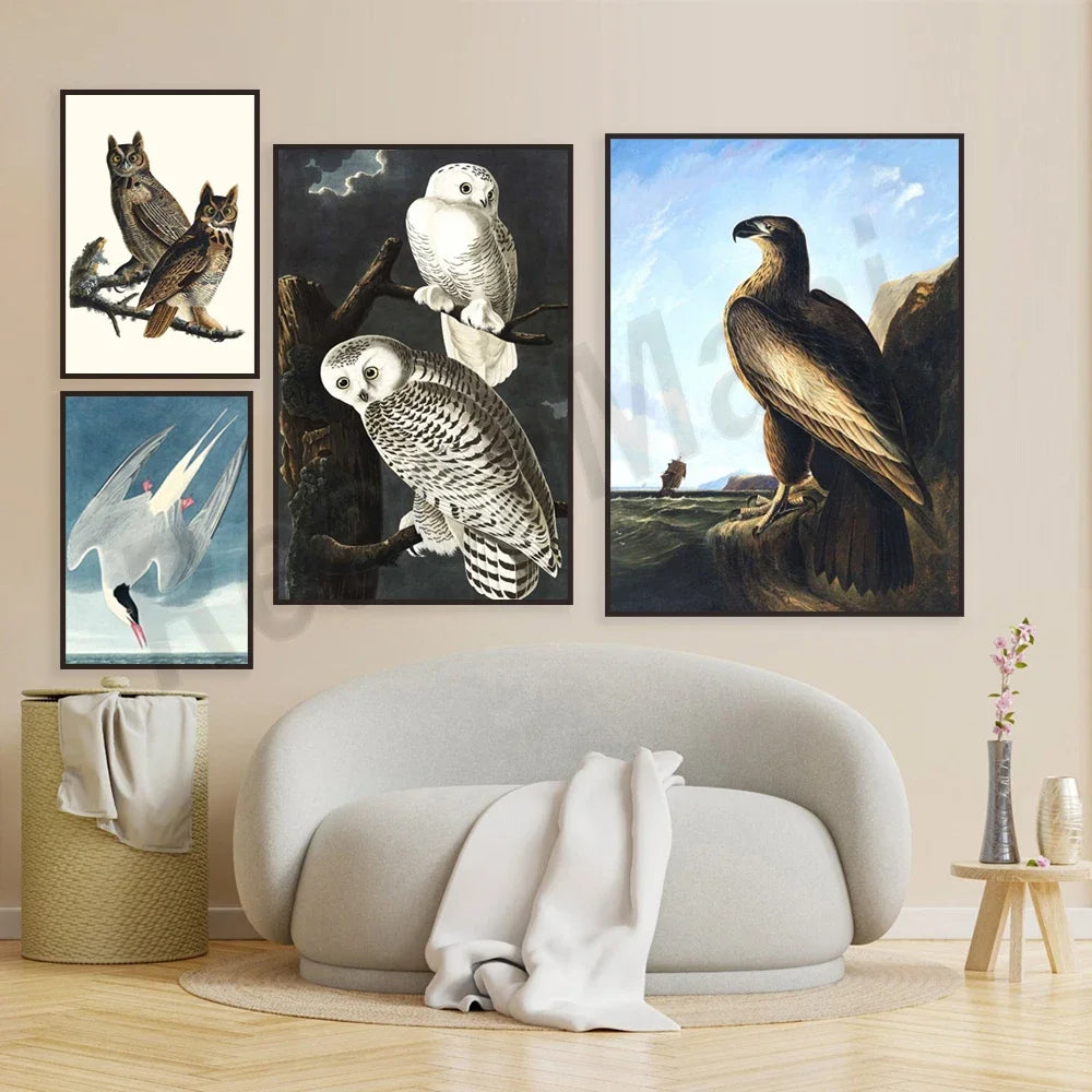 Un ensemble d'illustrations représentant différents oiseaux de proie dans leur habitat naturel, avec des motifs texturés et des couleurs contrastées pour créer une atmosphère captivante.