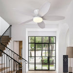 ventilateur led noir moderne télécommande certification rohs flux lumineux certifications ccc cem gs lvd