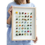 cadre photo plantes séchées fleurs collection moderne minimaliste bois naturel blanc