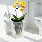 cache pot transparent moderne perforé adhésif fleur plante verte pot culture orchidée papillon racine