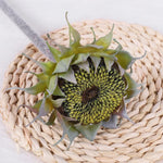 fleurs artificielles tournesols jaunes vert bruns réalistes intérieures mariage anniversaire
