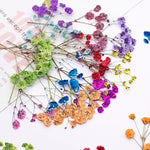 bouquet fleurs séchées naturelles variées bleu vert violet rouge jaunes ornement intérieur décoration artisanale