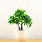 plante artificielle bonsaï miniature pot blanc décoration intérieur jardin maison vert