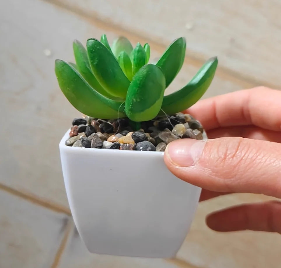 plantes succulentes artificielles vert rouge marron moderne minimaliste intérieur décoration maison