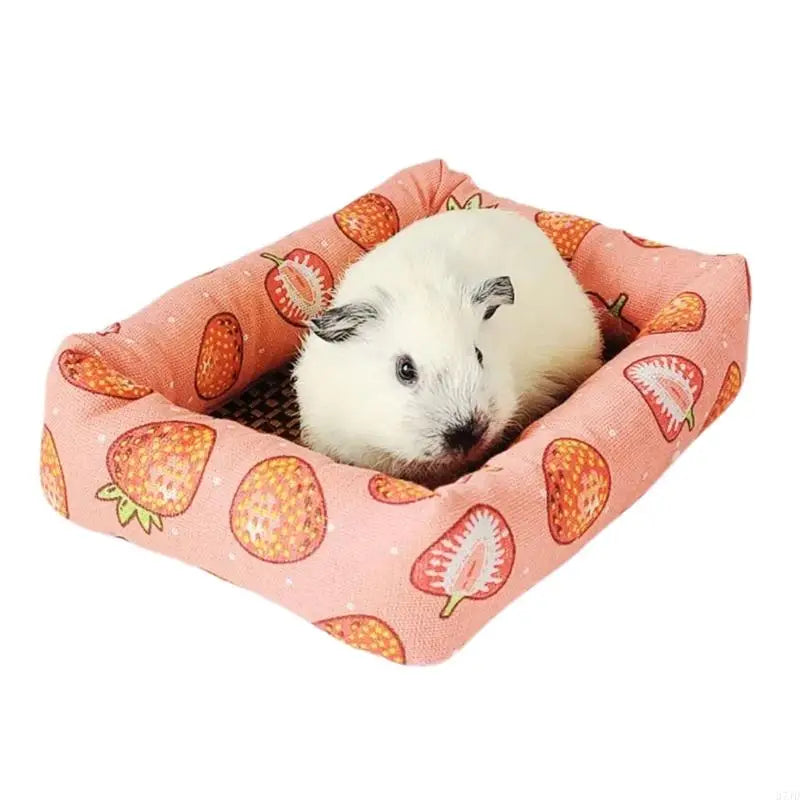 lit hamster confortable moderne fraises roses fond rose clair marron clair blanc