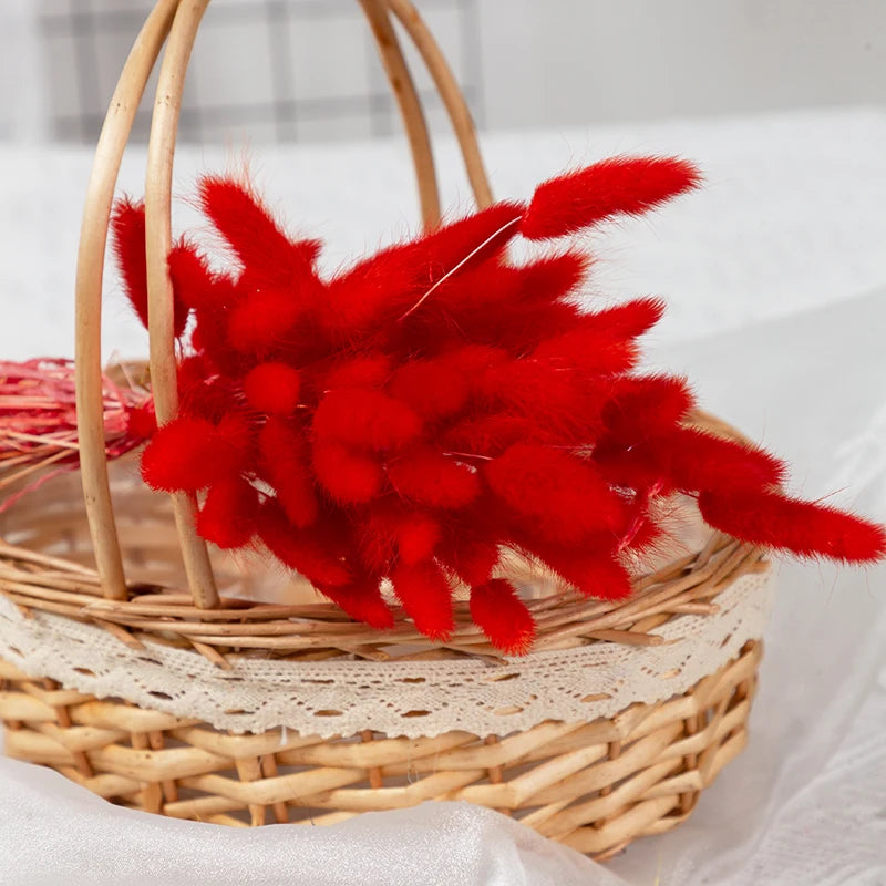 bouquet fleurs séchées herbe rabbit tail décoration maison mariage anniversaire boho naturelle rustique
