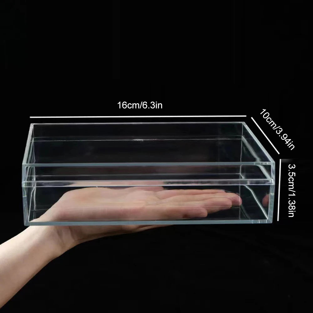 veilleuse boîte quiches transparente quiches dorées fond noir moderne clips