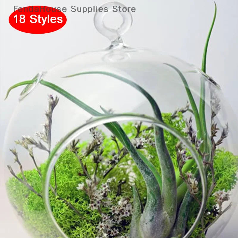 terrarium suspendu verre transparent plante mousse fleur moderne minimaliste