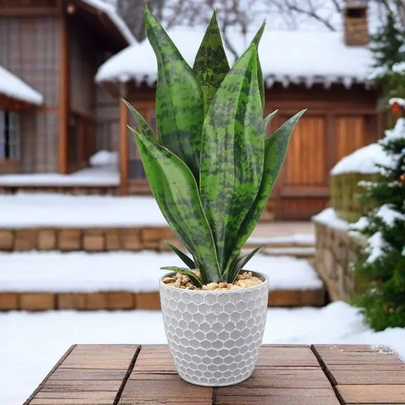 artificielle plante serpent sansevieria feuilles vertes contemporaines décoration intérieure vertes 35cm decoration exterieure