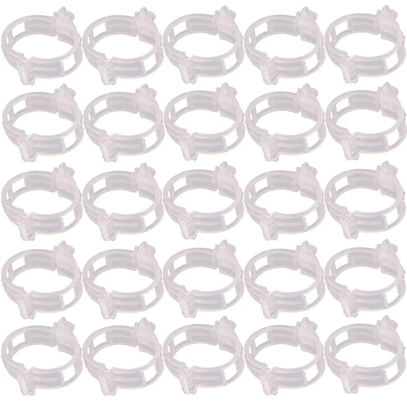 clips fixation végétaux transparent vert noir pratique robustes clips jardin potagers supports plantes