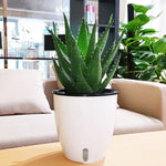 pots plantes modernes blanc noir drainage poignées 11cm 13cm 18cm