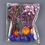 fleurs séchées variées naturelles décoration diy résine bijoux artisanat nail art