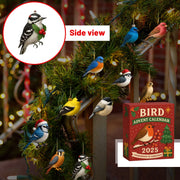 calendrier advent oiseaux noel surprises quotidienne decoration festive jaune rouge bleu