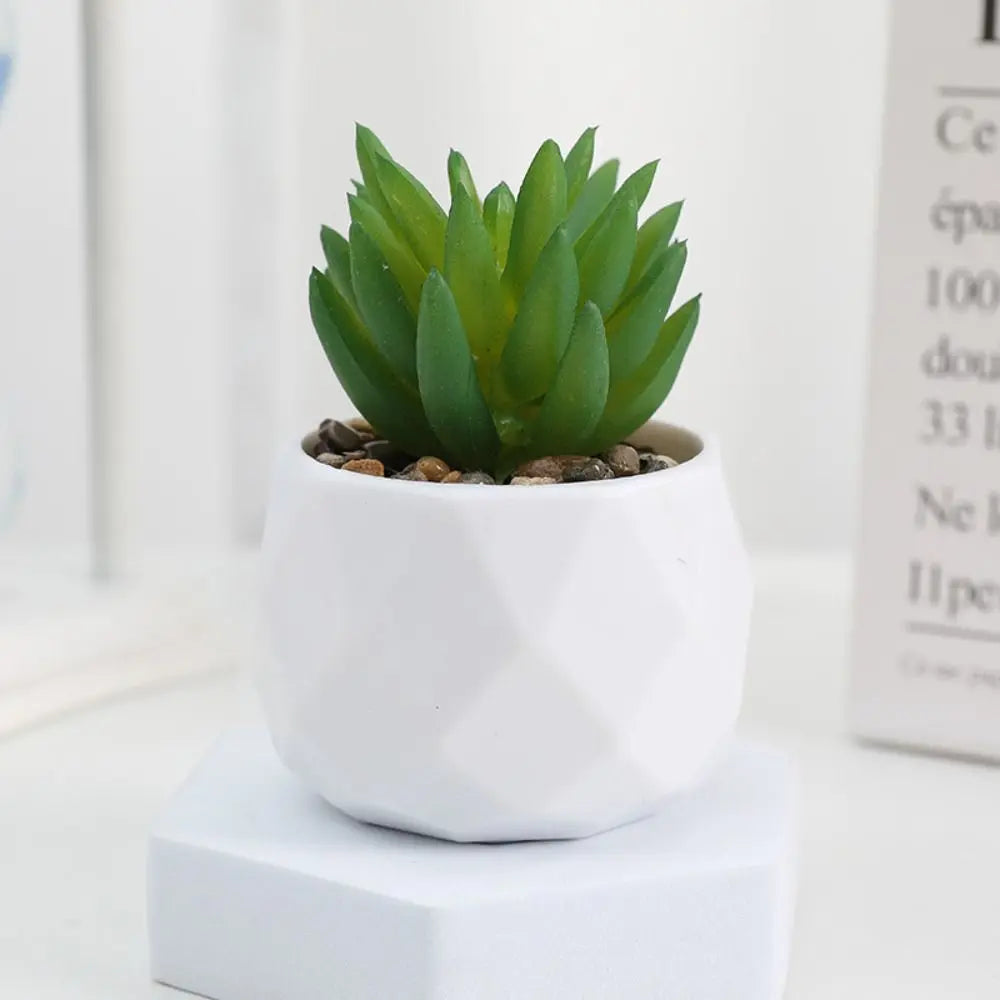 plantes artificielles bonsaï modernes mini jardins intérieurs pots succulentes couleurs vives minimalisteextérieur