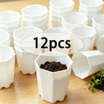 pots plante blancs hexagonaux modernes succulentes décoration table 6pcs 12pcs 24pcs