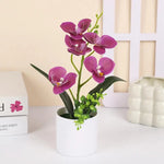 décoration intérieure orchidées artificielles pots blancs fleurs simples feuilles vertes moderne