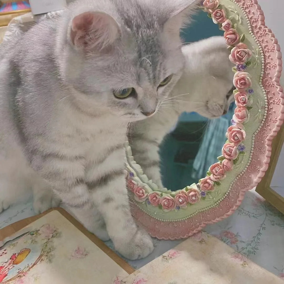 Détail cadre baroque miroir rose