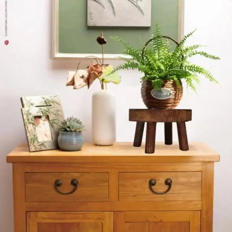 support plante bois massif rustique minimaliste brun foncé plateau fleurintérieurextérieur succulente