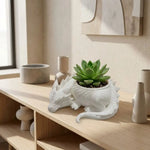 cache plantes dragon écaille opacité fantastique succulentes décoration noir blanc