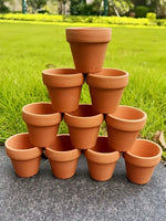 pots terre cuite drainages succulentes fleurs vertes jardin rustique bacs pépinière aspect poreux naturel
