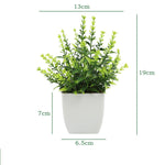 décoration intérieure plante artificielle eucalyptus bonsaï vert feuilles fines moderne sans entretien pot blanc