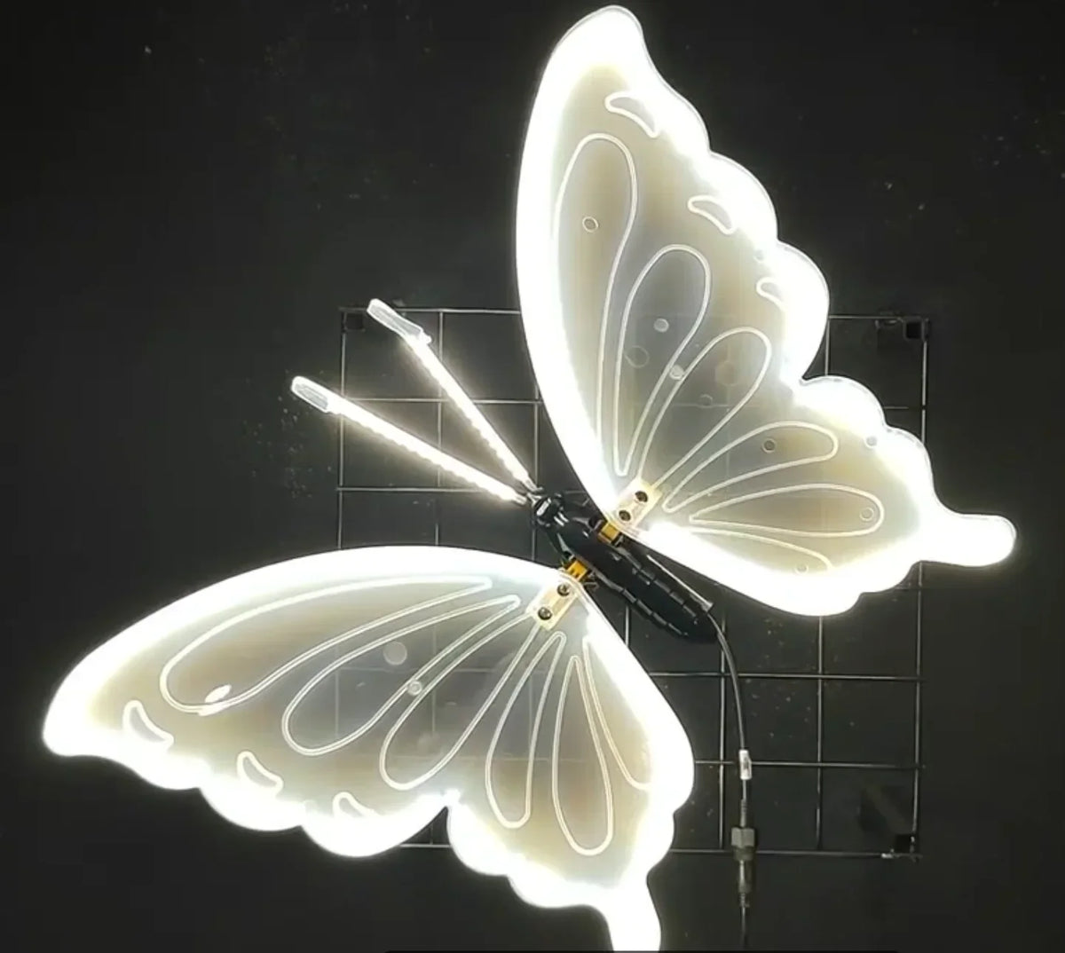 papillons lumineux blancs moderne clips anniversaire mariage fêtes nouvel an événements anniversaires