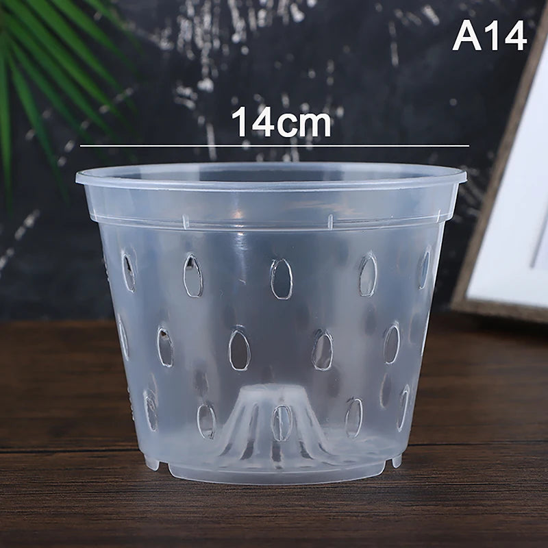 pots semis transparents perforés pratique plateau fleur verte plastique moderne
