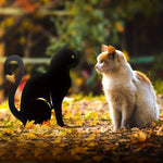 statue extérieure chat noir silhouette moderne brillante minimaliste tringle fixée jardin