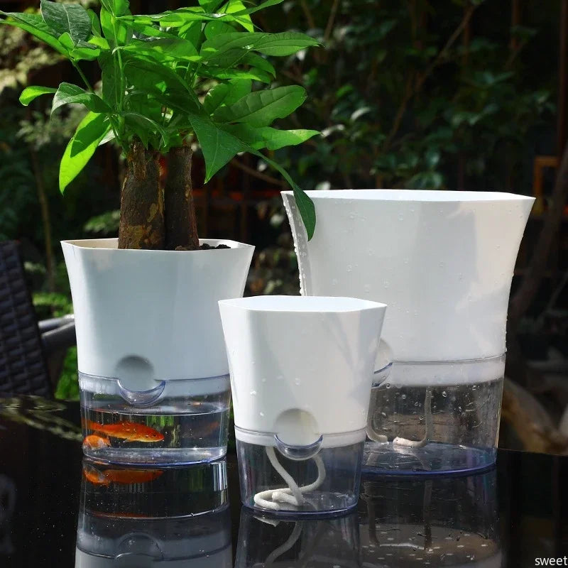 Pot plante moderne transparent taille fleur verte hydroponie