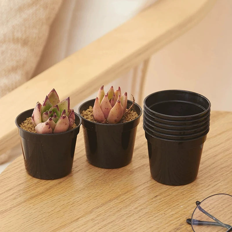 pots semis plastique blanc noir modernes succulentes fleuries jardin drainage minimalistes