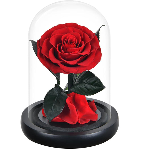 rose stabilisée rouge dôme verre transparent décoration maison cadeau élégant fleur éternelle décorative