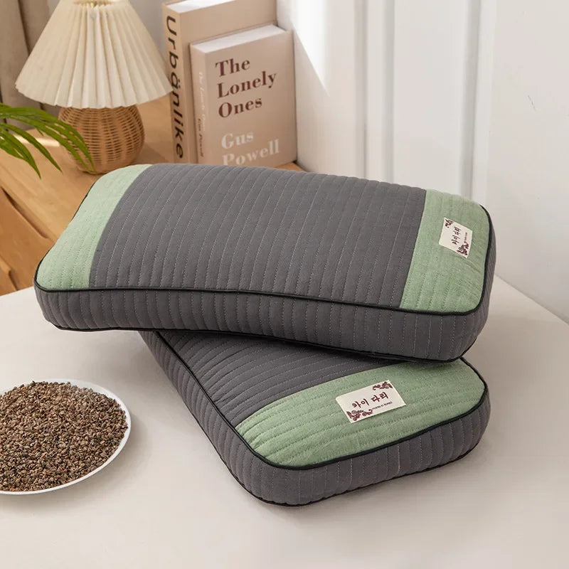 oreiller bleu rose gris vert rayures moderne coton bio hypoallergénique oblong catégorie