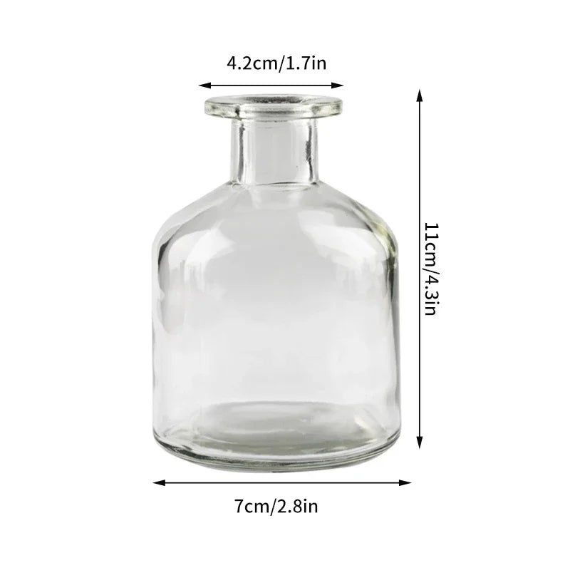 vase verre transparent moderne rose décoration intérieur hydroponique fleuri table studio
