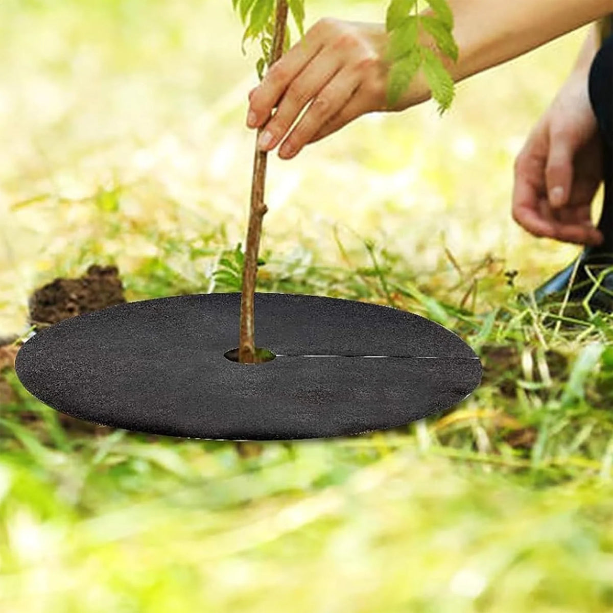 anneaux protection racines plantes noirs adhésifs texture rugueuse uv résistants pratique utilitaire jardins