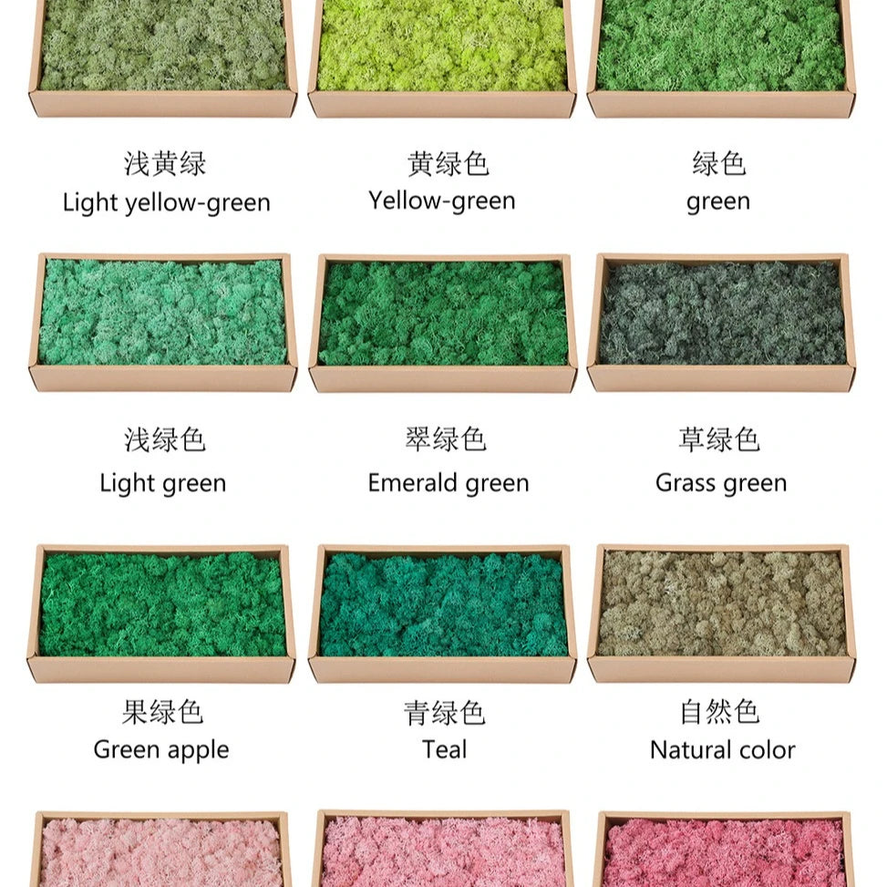 mousse séchée naturelle décorative fleurs séchées rustiques vert rose bleu violet maison intérieur