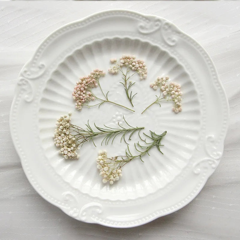assiette blanche coquillage relief perlée fleurs séchées feuilles vertes décoration intérieure minimaliste naturelle classic
