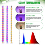 lampe led plante couleurs rouge bleu jaune vis aimant fixations moderne fonctionnelle