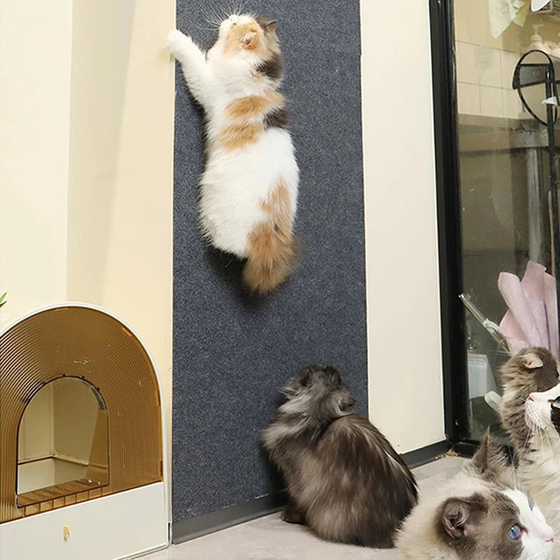 tapis protection chat gris uni tissé adhésif moderne fixe meuble mur 30cm 60cm