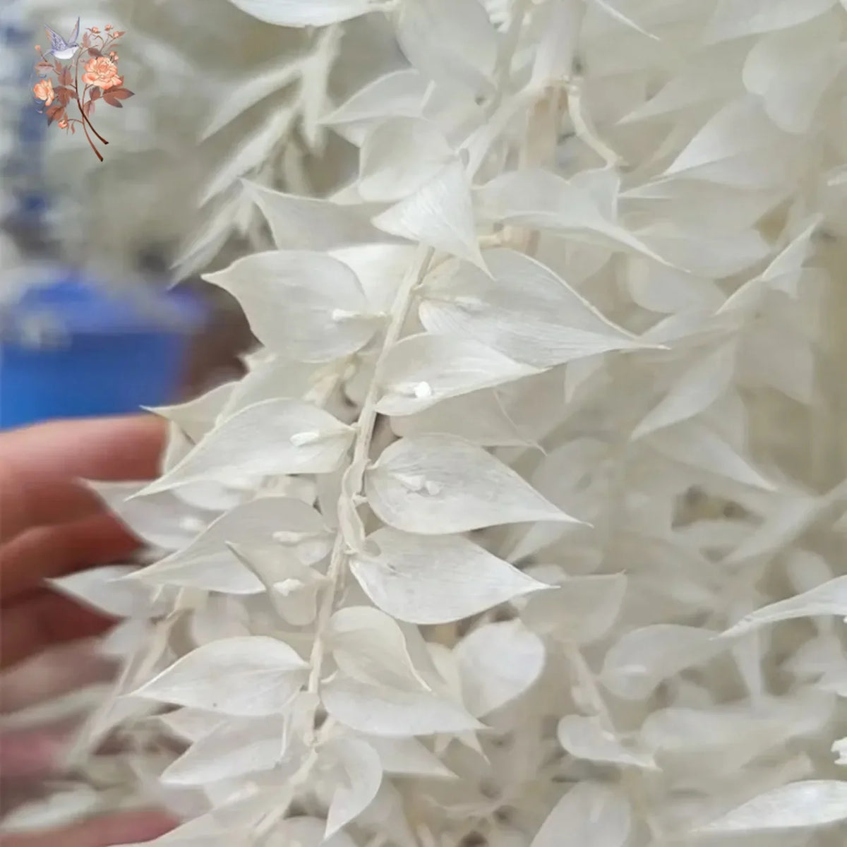 décoration intérieure bouquet eucalyptus blanc feuilles ruscus naturel moderne chambre mariage anniversaire