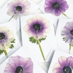 cartes postales fleurs pressées violet rouge classique adhésif intérieur anniversaire baby shower graduation