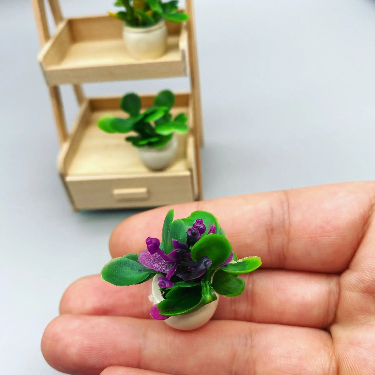 étagère plante moderne mini pots bois blanc succulentes ornement verdureintérieur