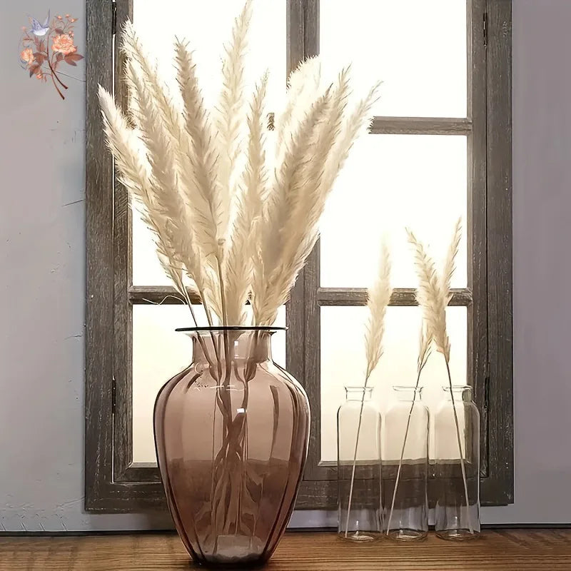 plumes pampas séchées blanches décorations fleurs naturelles rustiques mariage maison intérieur bouquet