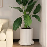 support plante roulant blanc gris noir rayures concentriques moderne