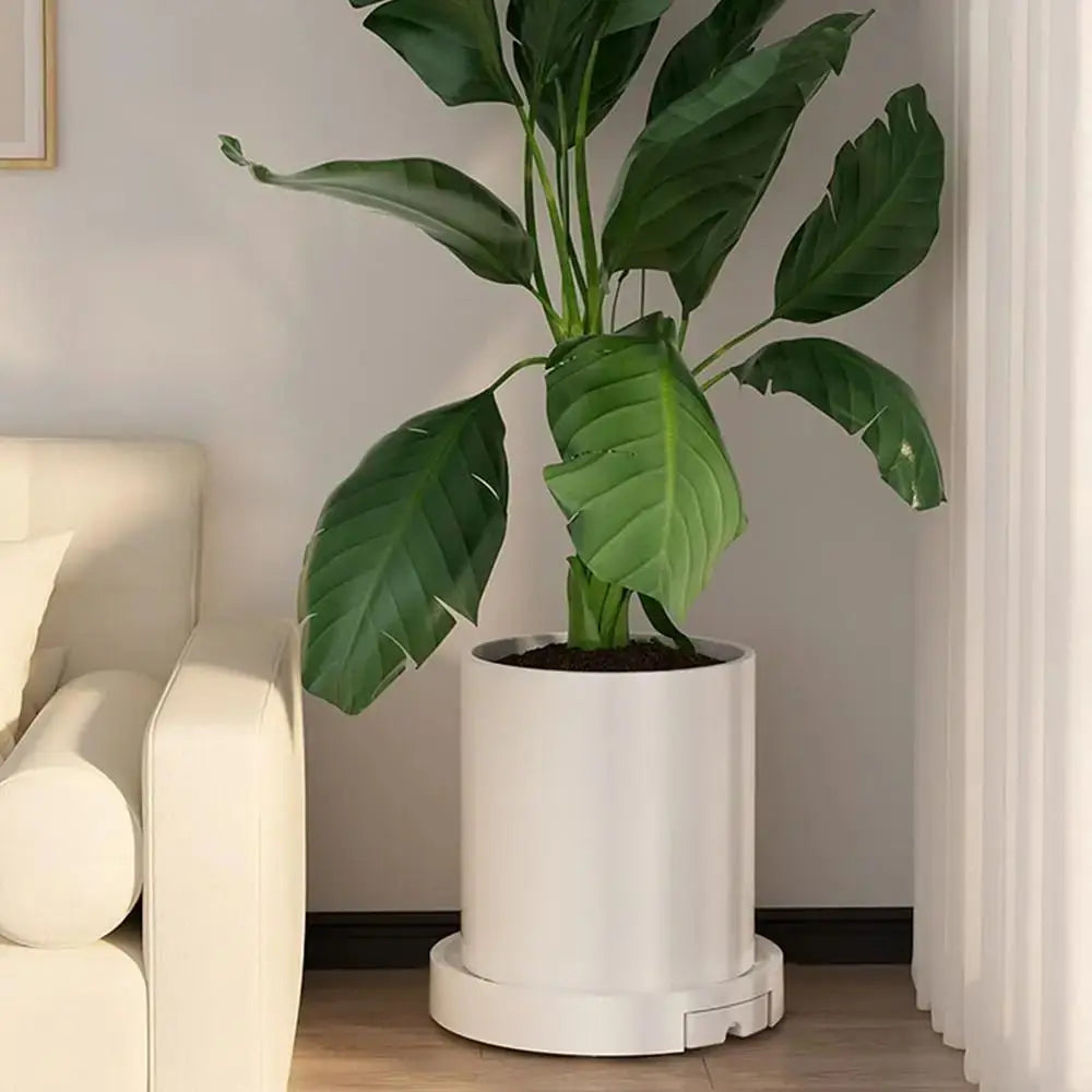 support plante roulant blanc gris noir rayures concentriques moderne