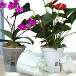 pots plantes transparents blancs modernes minimalistes grille drainage différents disponibles