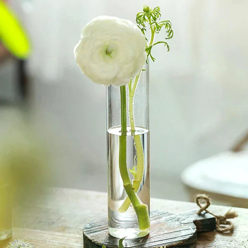vase verre transparent moderne plantes hydroponiques décoration chambre fleurs eau