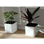 pot plante autoarrosant indicateur eau blanc moderne plantes fleurs herbes légumesintérieurextérieur