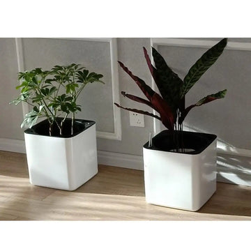 pot plante autoarrosant indicateur eau blanc moderne plantes fleurs herbes légumesintérieurextérieur